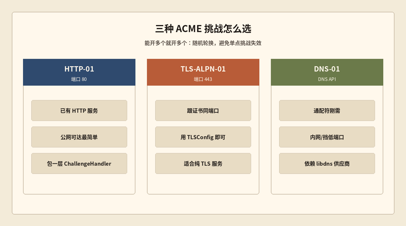 三种 ACME 挑战选型